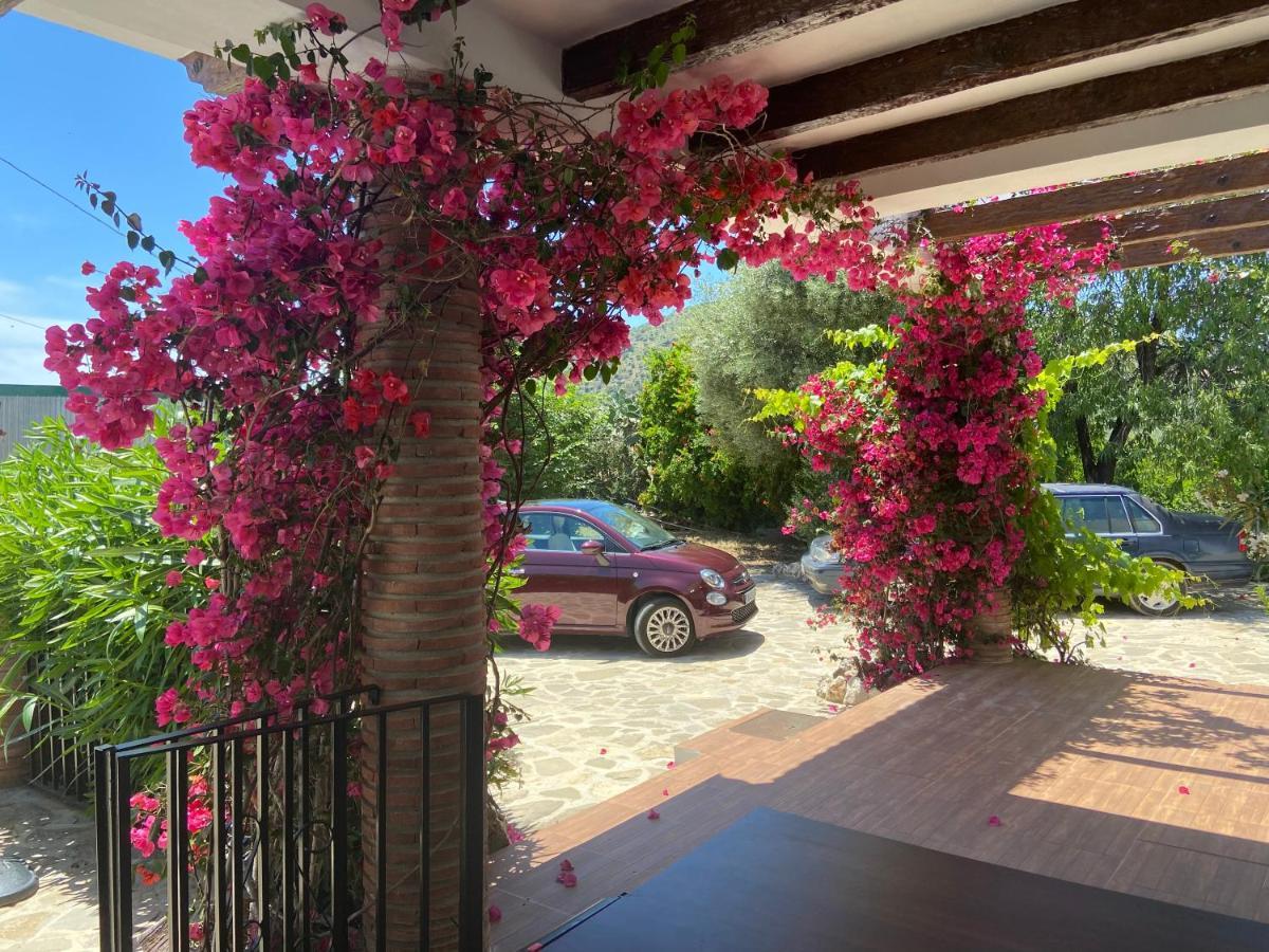 Villa Zahar 佩里那 外观 照片