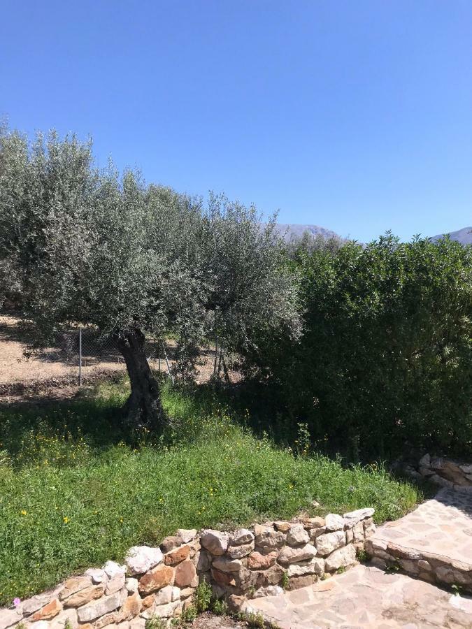 Villa Zahar 佩里那 外观 照片